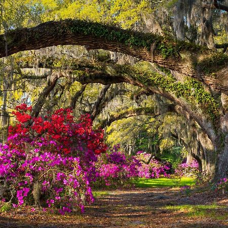 Cambria Hotel Summerville - Charleston Bagian luar foto